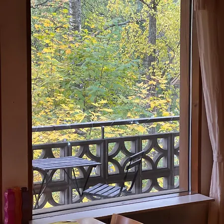 Casa Peipponen * Κουόπιο