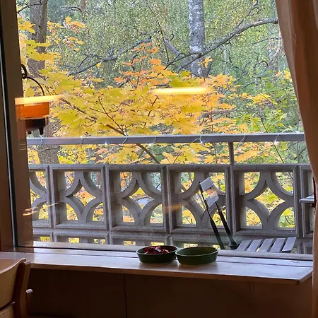 Casa Peipponen Κουόπιο