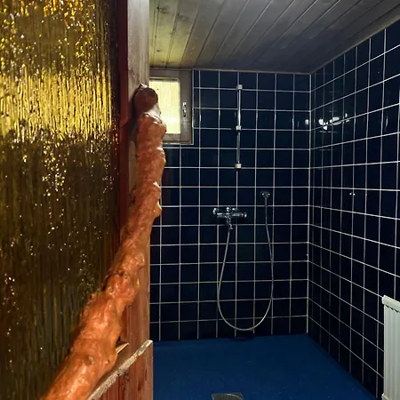 Casa Peipponen * Куопио