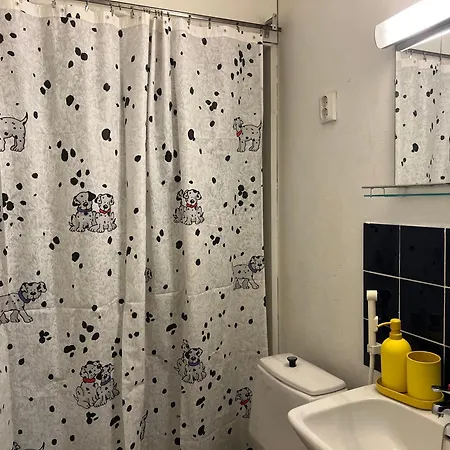 Casa Peipponen Апартаменты *